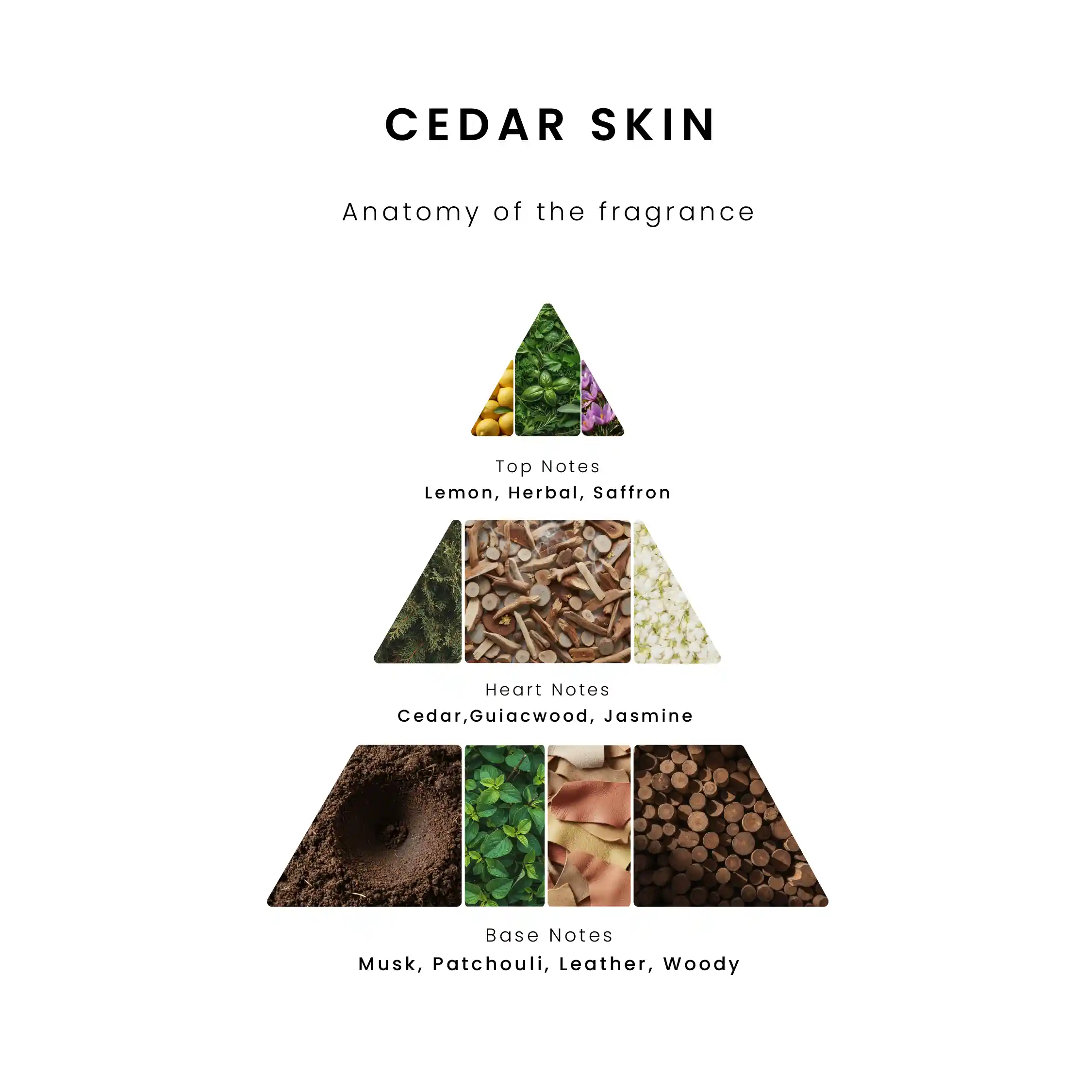 Cedar Skin - Image 2