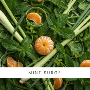 Mint Surge