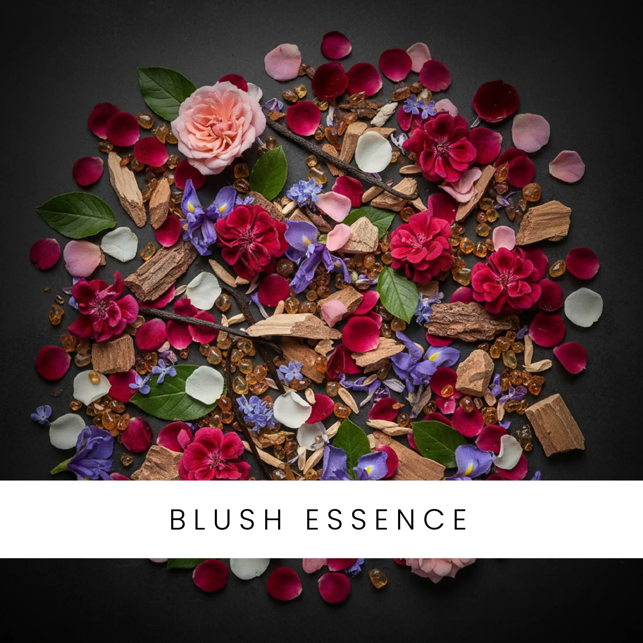 Blush Essence luxury aroma oil bottle from the Otura Scent Classic Edition.