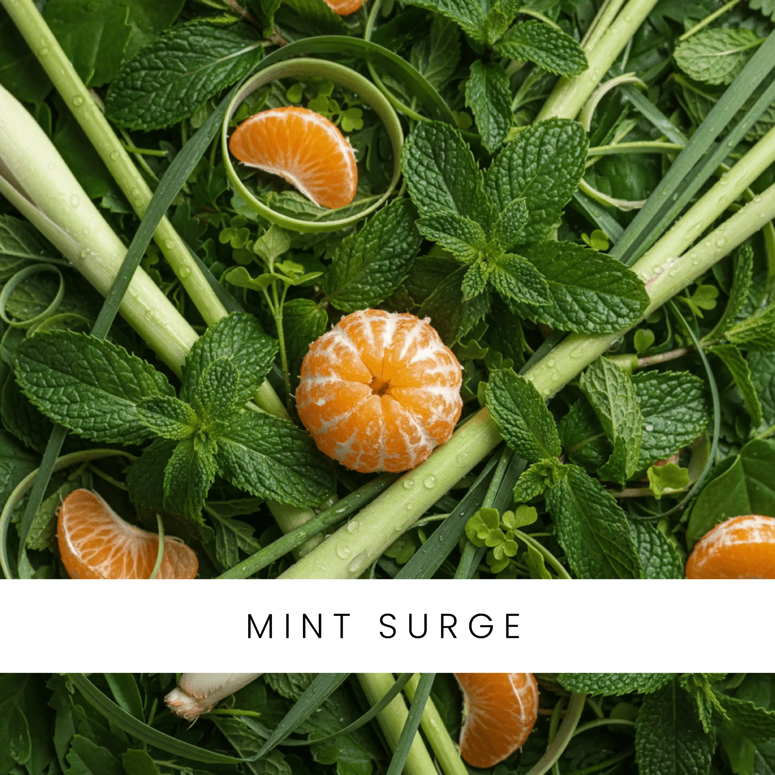 Mint Surge luxury aroma oil bottle from the Otura Scent Classic Edition.