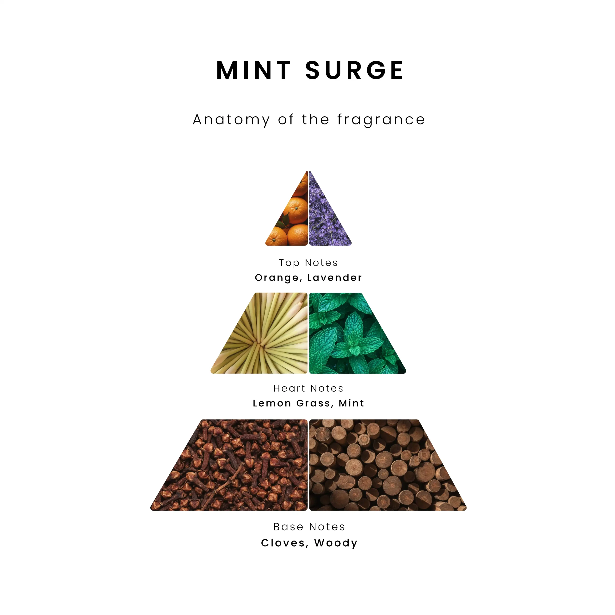 Fragrance notes pyramid for Mint Surge aroma oil. Top notes: Orange and Lavender. Heart notes: Lemon Grass and Mint. Base notes: Cloves and Woody.