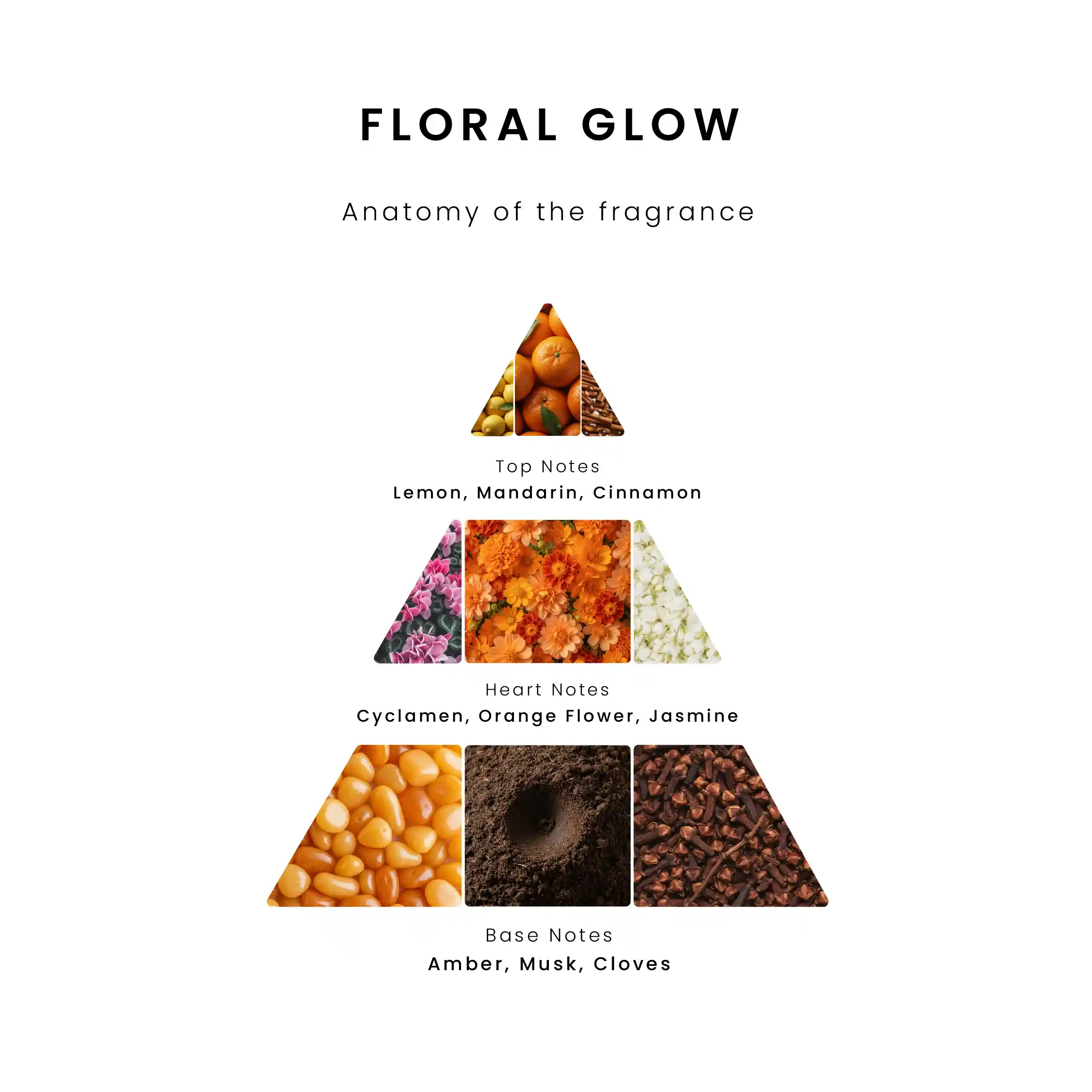 Fragrance pyramid infographic for Floral Glow aroma oil. Top notes: Lemon, Mandarin, and Cinnamon. Heart notes: Cyclamen, Orange Flower, and Jasmine. Base notes: Amber, Musk, and Cloves.